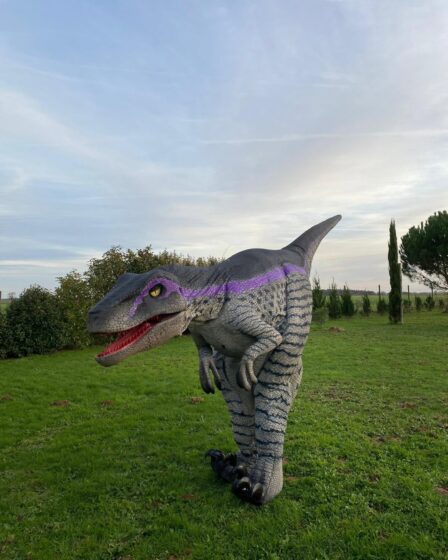 Dinosaure