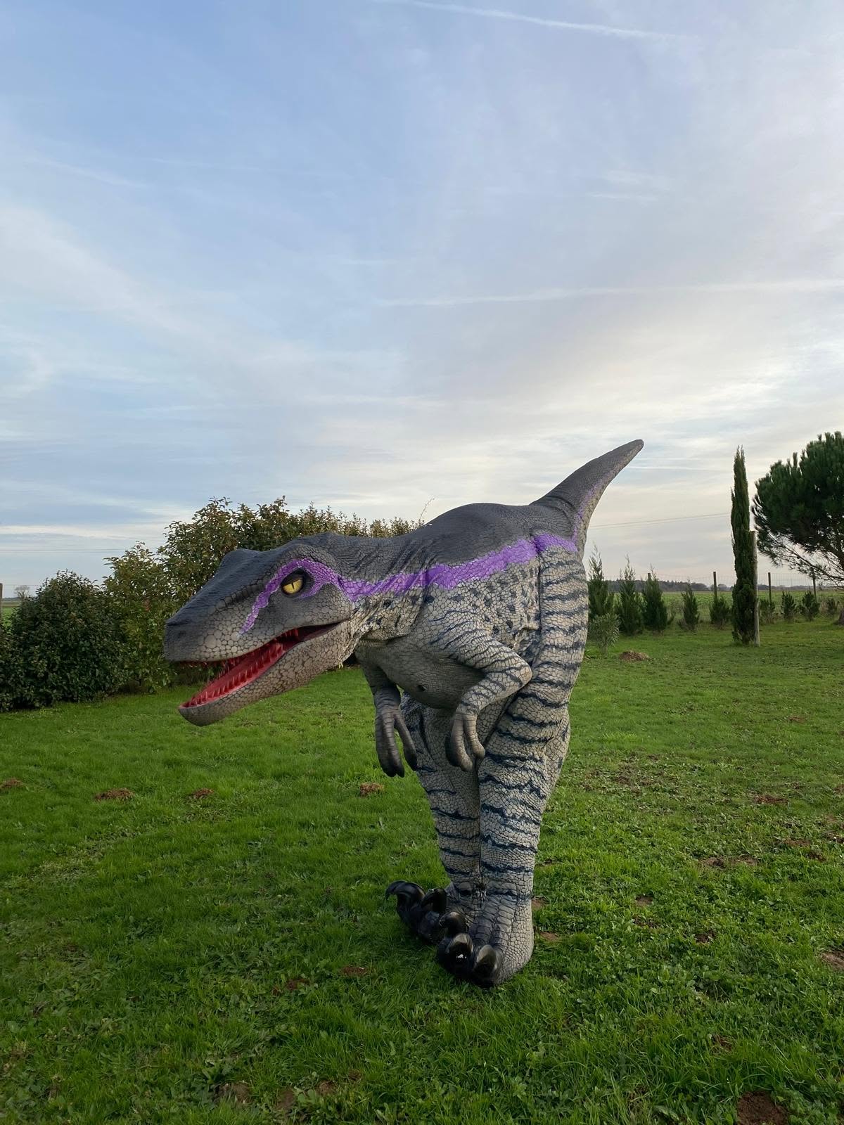 Dinosaure